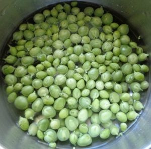 Fresh Pea Salad with Chives and Almonds from My Kitchen Wand