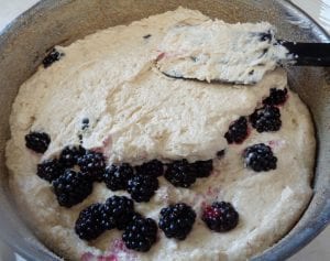 Blackberry Cake with Rum and Lemon from My Kitchen Wand