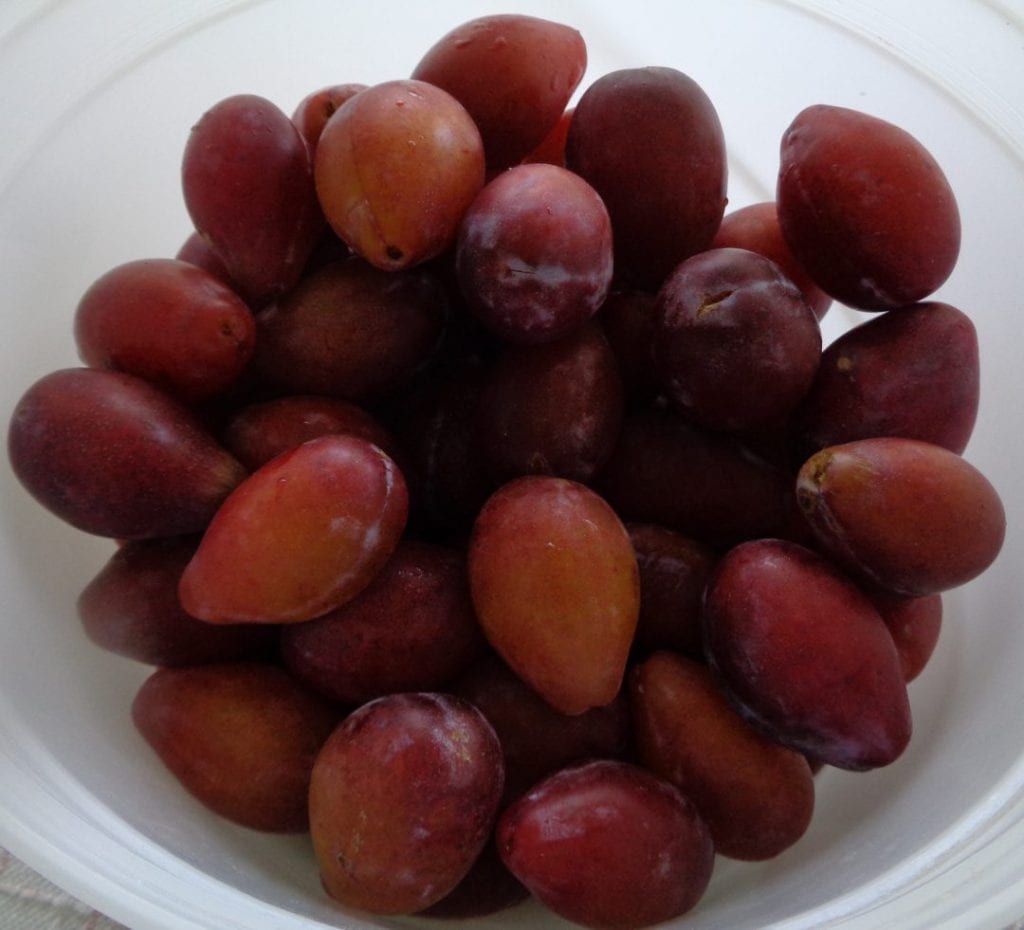 Pluot Cake from My Kitchen Wand