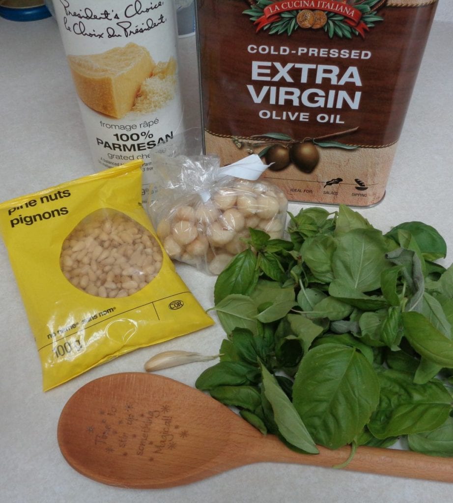 Basil & Sage Pesto with Macadamia Nuts from My Kitchen Wand