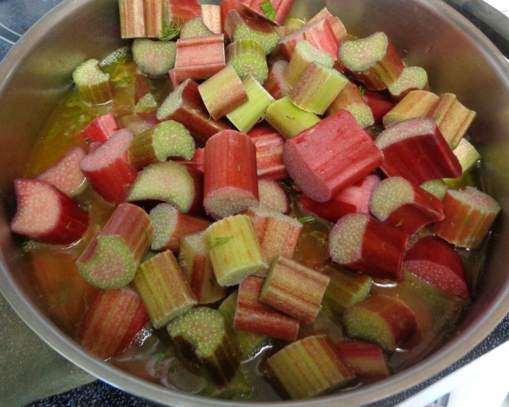 Braised Rhubarb Stew from My Kitchen Wand