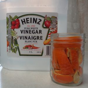 Orange Vinegar from My Kitchen Wand