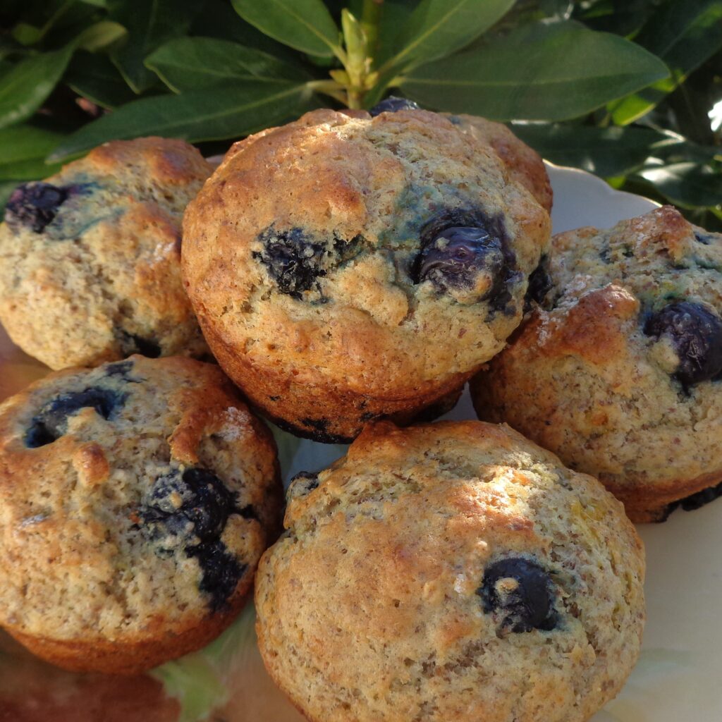 Blueberry Muffins from My Kitchen Wand