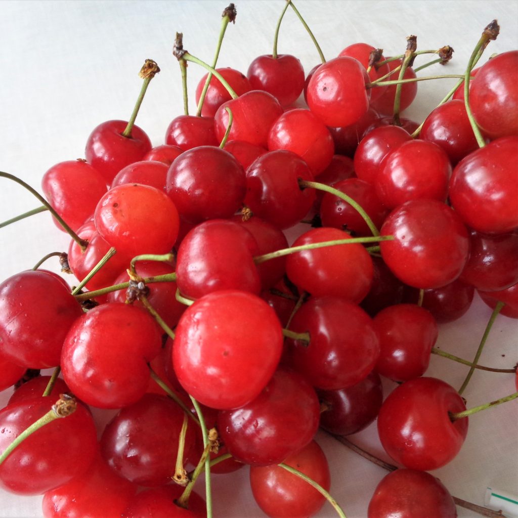 Sour Cherry Pie from My Kitchen Wand