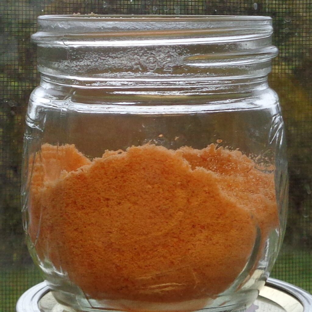 Grapefruit Peel Powder from My Kitchen Wand