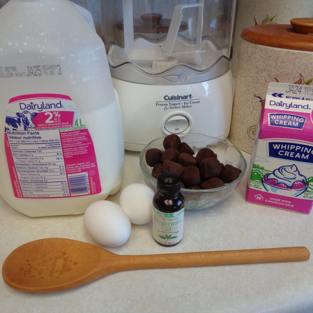 Decadent Homemade Chocolate Ice Cream from My Kitchen Wand