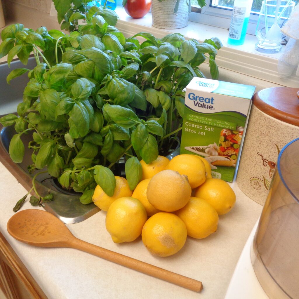 Basil Bounty from My Kitchen Wand