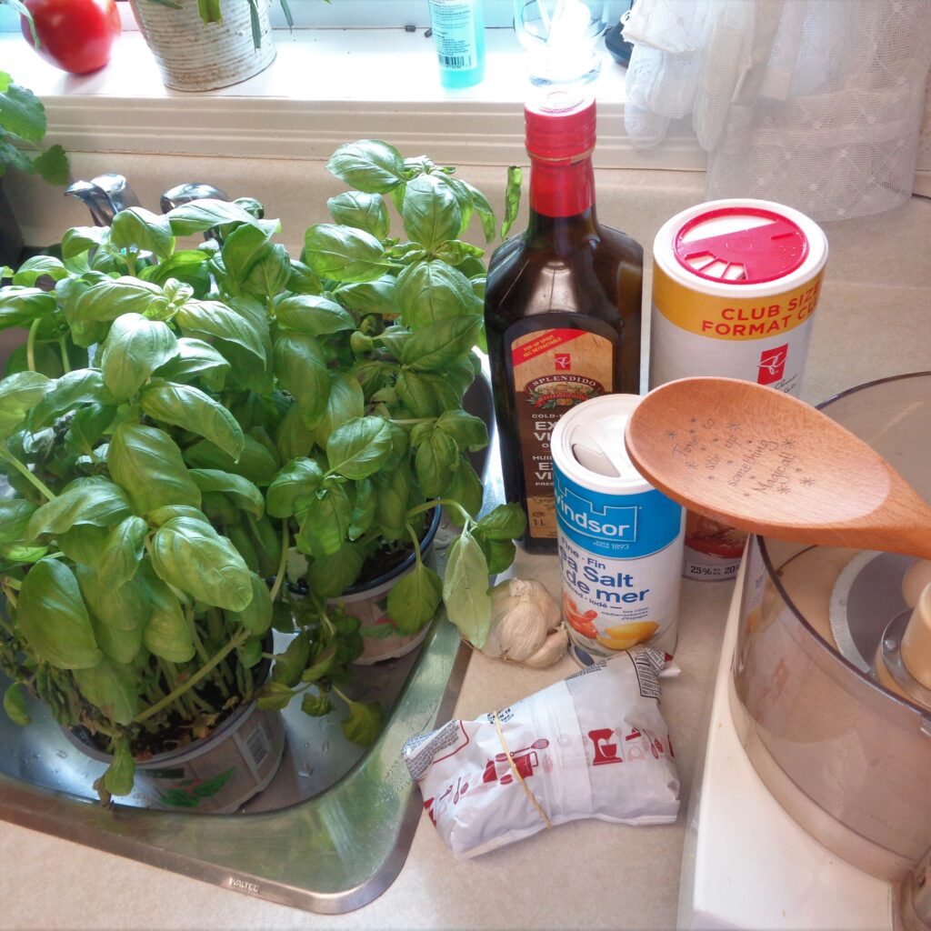 Basil Bounty from My Kitchen Wand