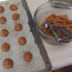 Keto Peanut Butter Cookies from My Kitchen Wand