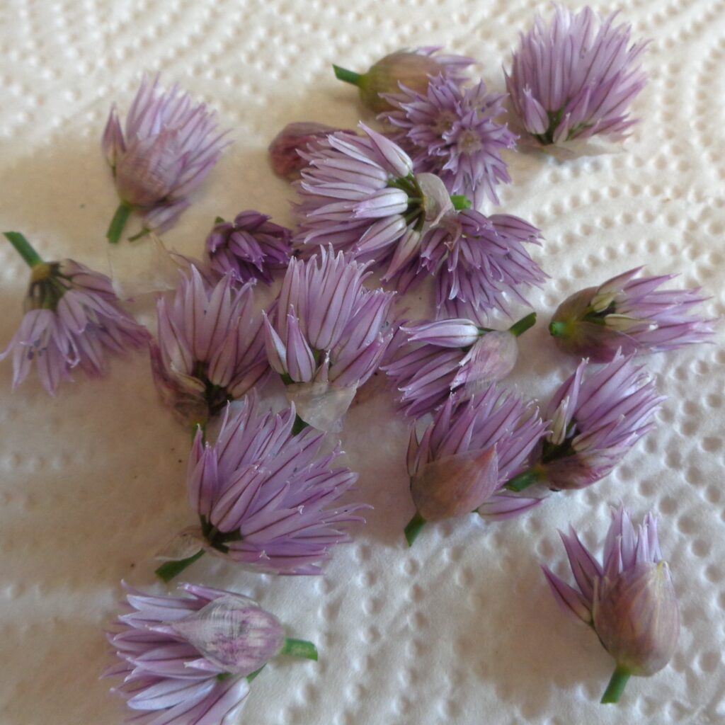 Infusing Floral Vinegars from My Kitchen Wand