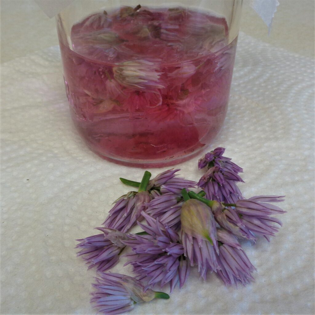 Infusing Floral Vinegars from My Kitchen Wand