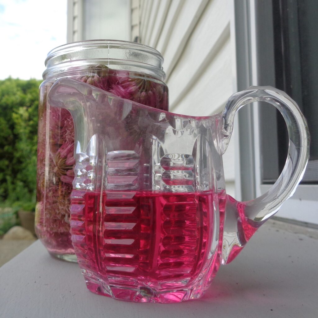 Infusing Floral Vinegars from My Kitchen Wand