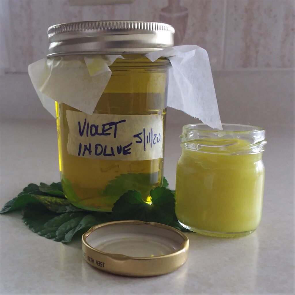 Violet Leaf Salve from My Kitchen Wand