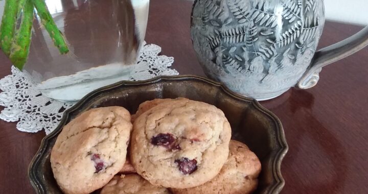 Soft Cranberry Nut Cookies from My Kitchen Wand