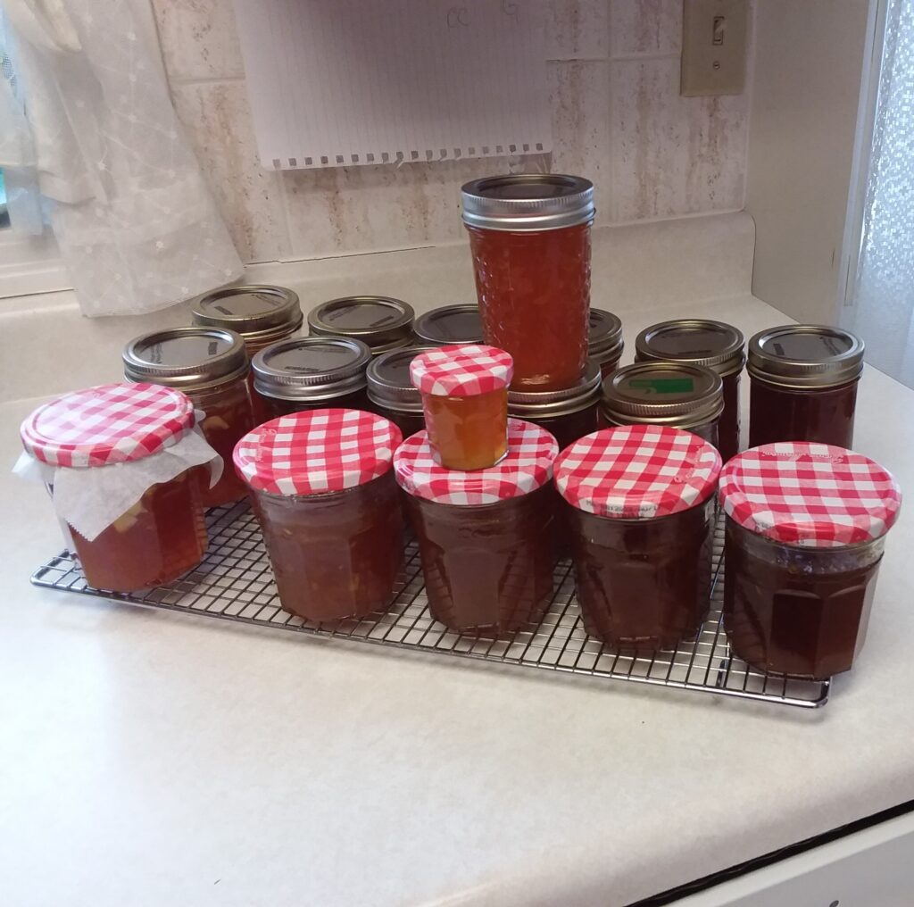 Ma Made Marmalade from My Kitchen Wand